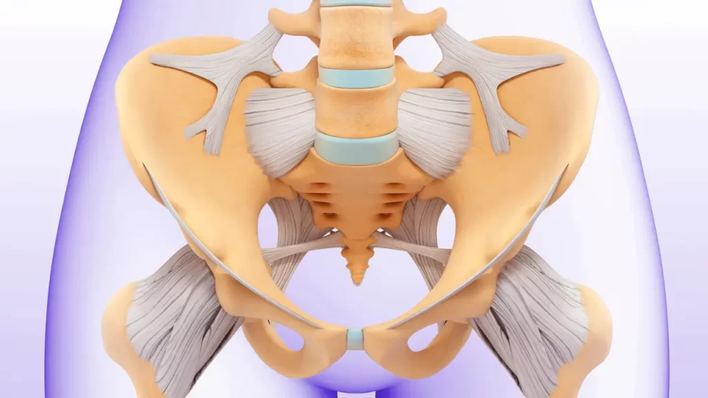 Fisioterapia para o assoalho pélvico: você sabia que o enfraquecimento dessa musculatura afeta mais de 40% das mulheres após os 30 anos?